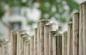 fence-wood-fence-wood-limit-48246